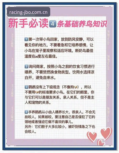 JBO注册教程推荐 JBO注册教程推荐:从新手到老鸟的实用指南